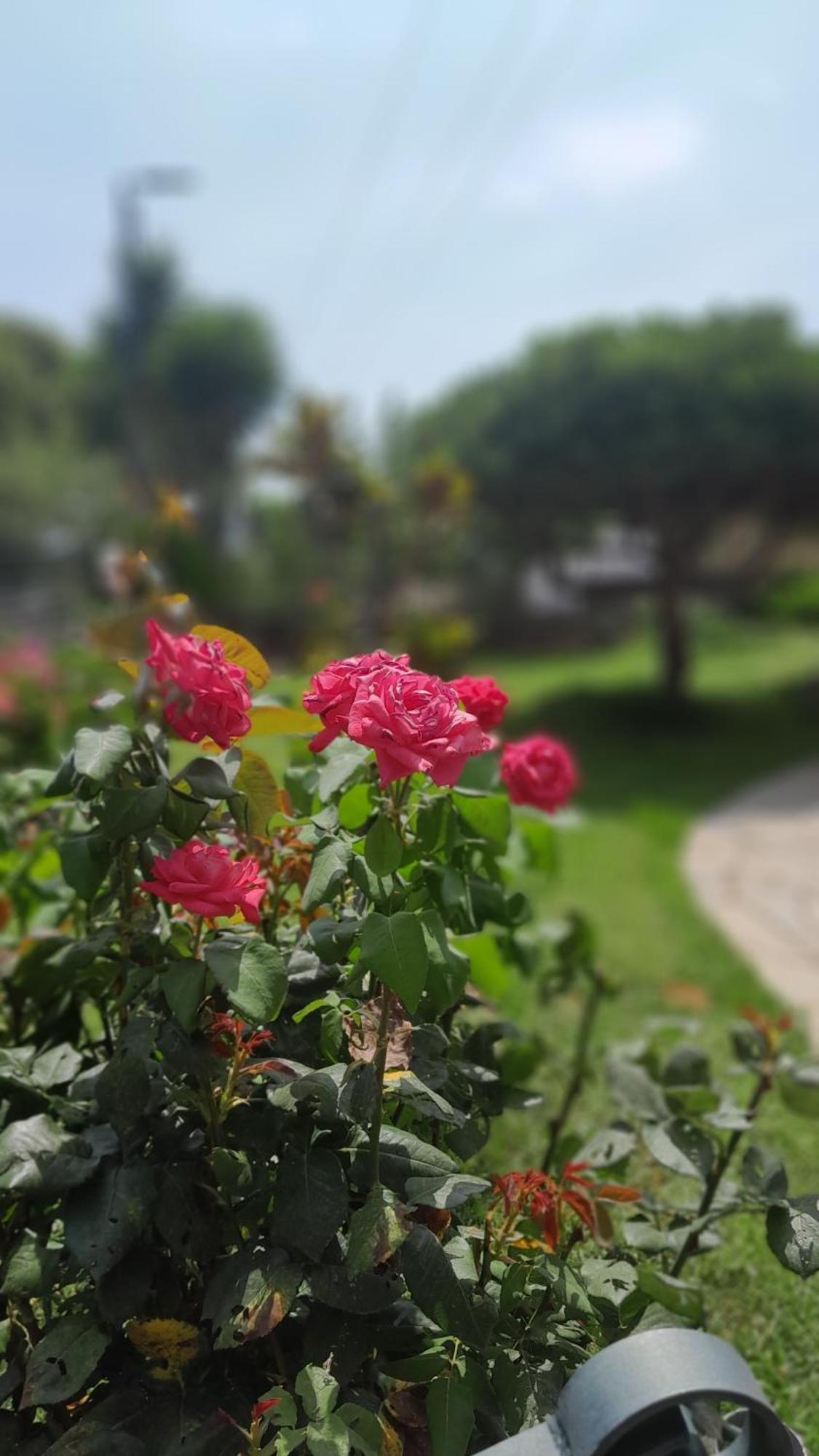 Paradise Dhaskalion Ngoại thất bức ảnh