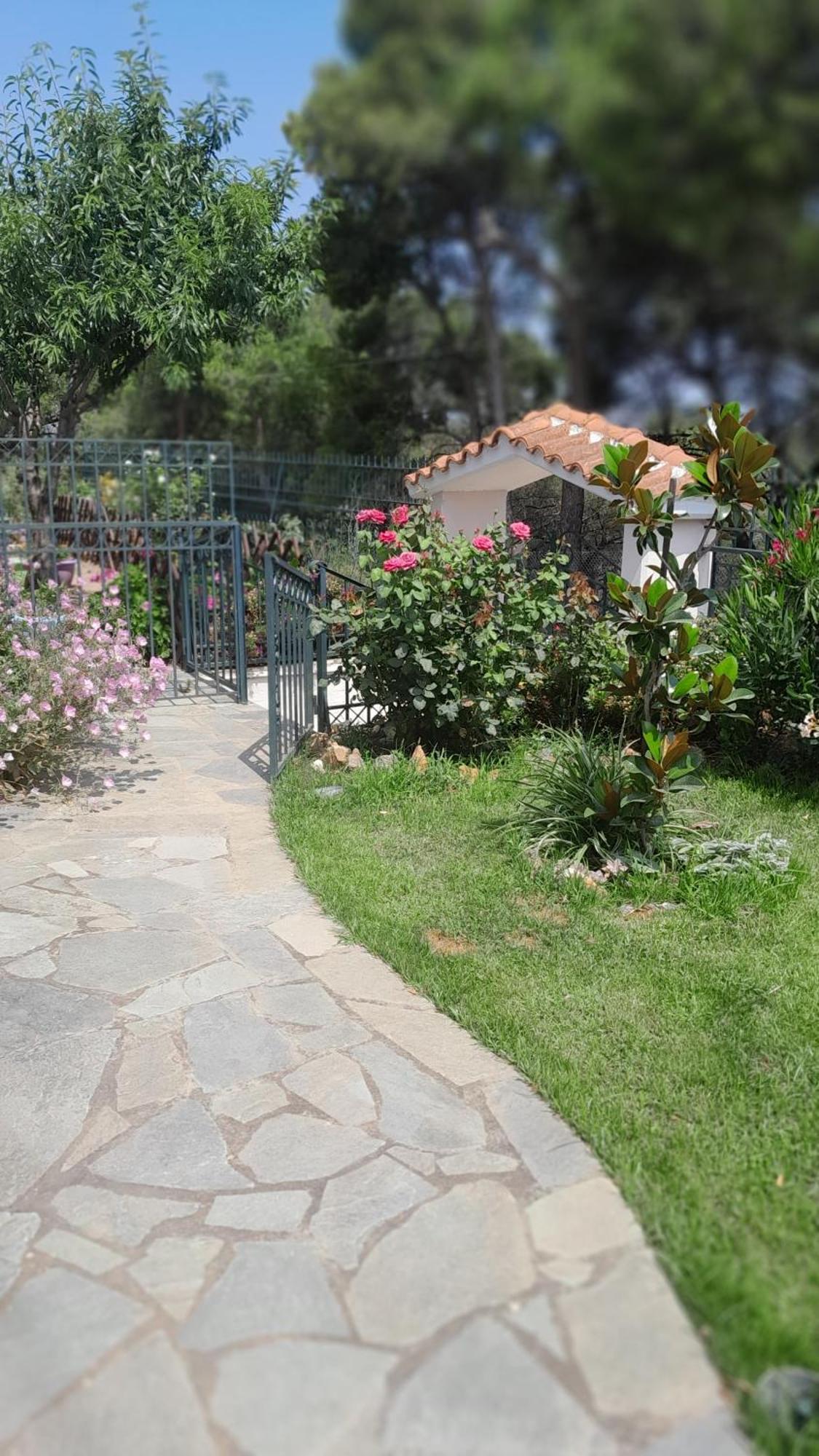 Paradise Dhaskalion Ngoại thất bức ảnh